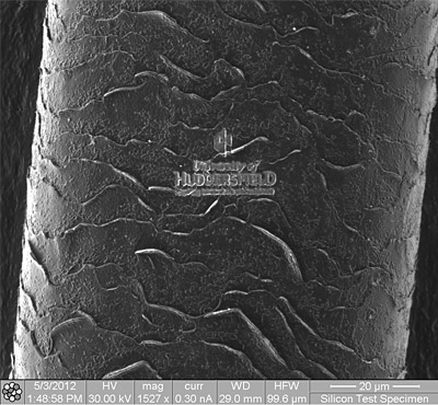 Image of a human hair with the University of Huddersfield logo engraved on it