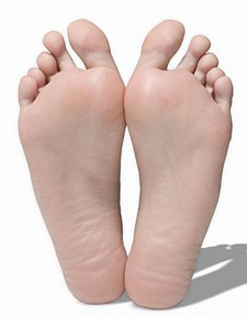 pair of feet
