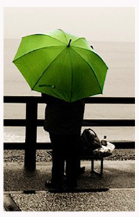 Weatherwatch umbrella