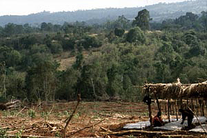 Ethiopian Wetlands