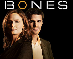 BONES TV series poster