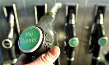 Biofuel - The University’s new Masters by Research in Renewable Energy is already catching the attention of prospective students.