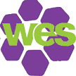 Women's Engineering Society logo