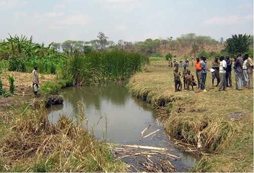 A multiple-use wetland in central Malawi