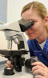 Scientist looking into a microscope