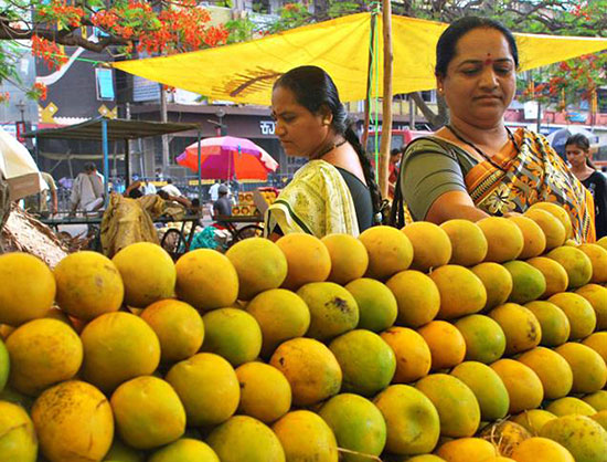 Mangoes in India