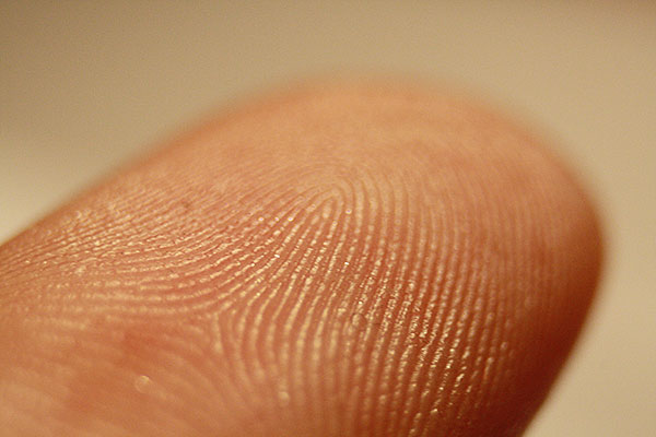 Fingerprint forensics