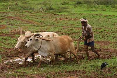 Farmers in rural India