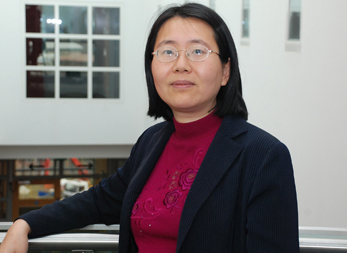 Professor Minhua Ma