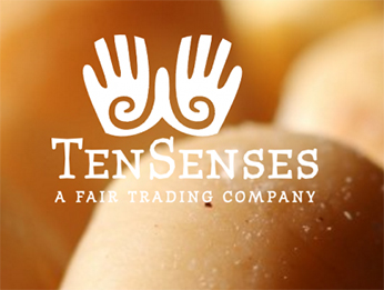 Ten Senses Africa logo