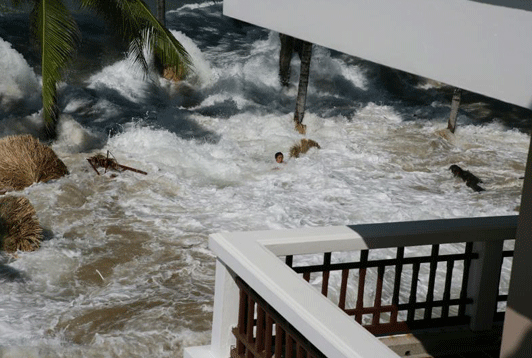 global disaster resilience centre