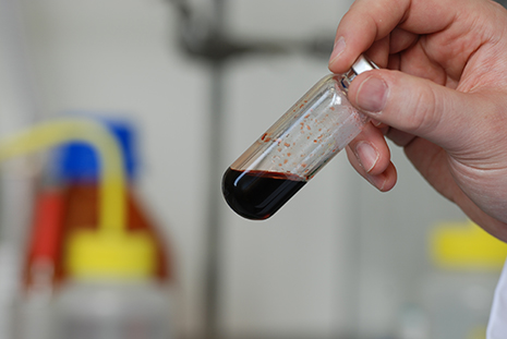 Final step in the synthesis of a solar cell dye