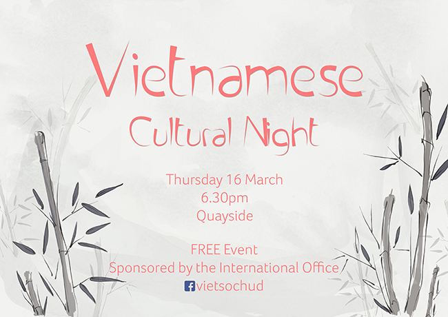 Vietnamese night inpage